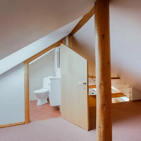 Old Kaleju Loft * Ρίγα