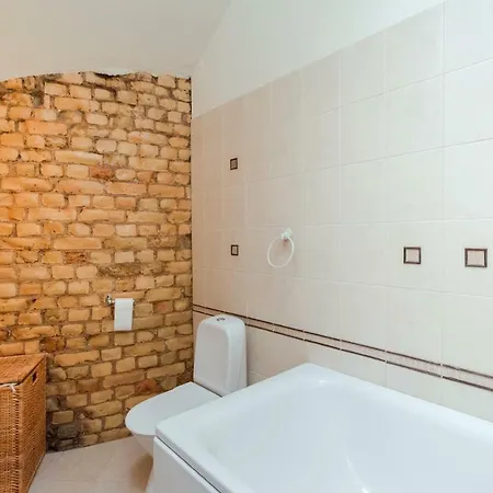 Old Kaleju Loft * Ρίγα